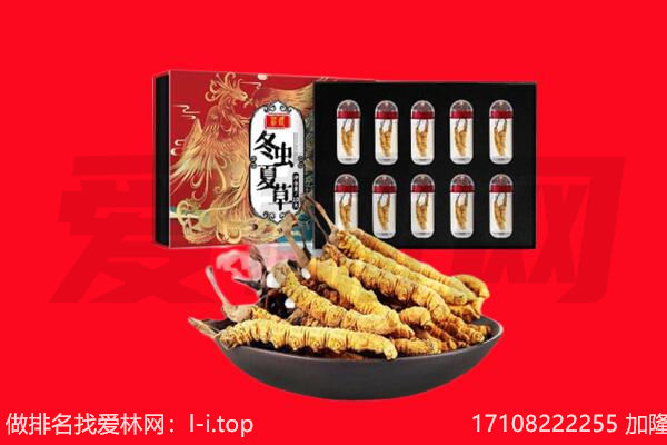 长治市潞城回收虫草.jpg